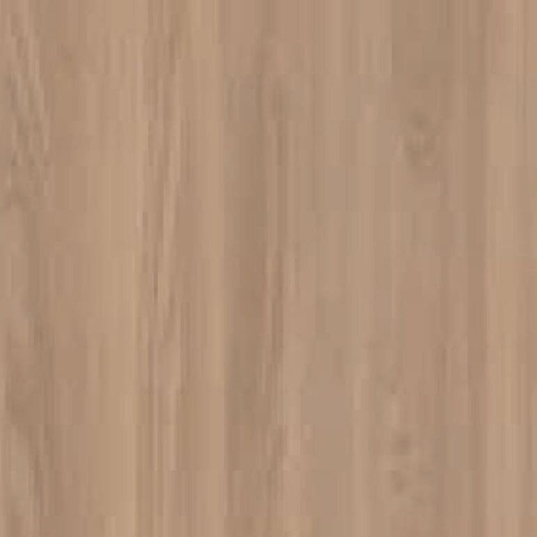 OLMO ORDI