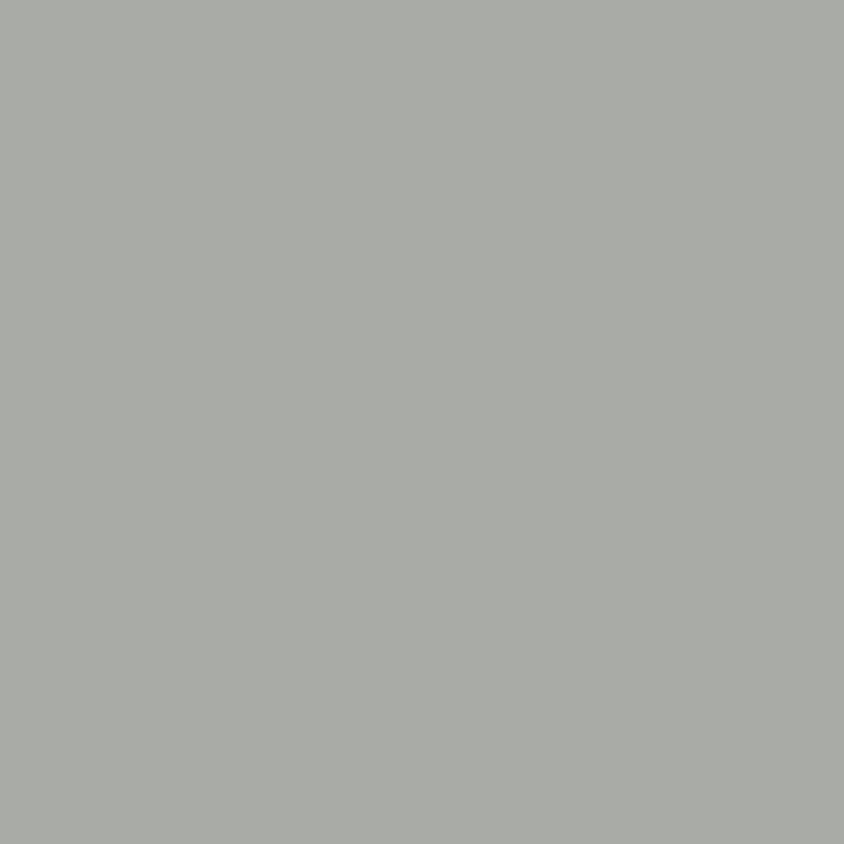 MODERN GRAY